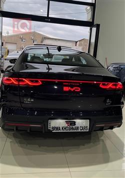 بي واي دي كوين L DM-i